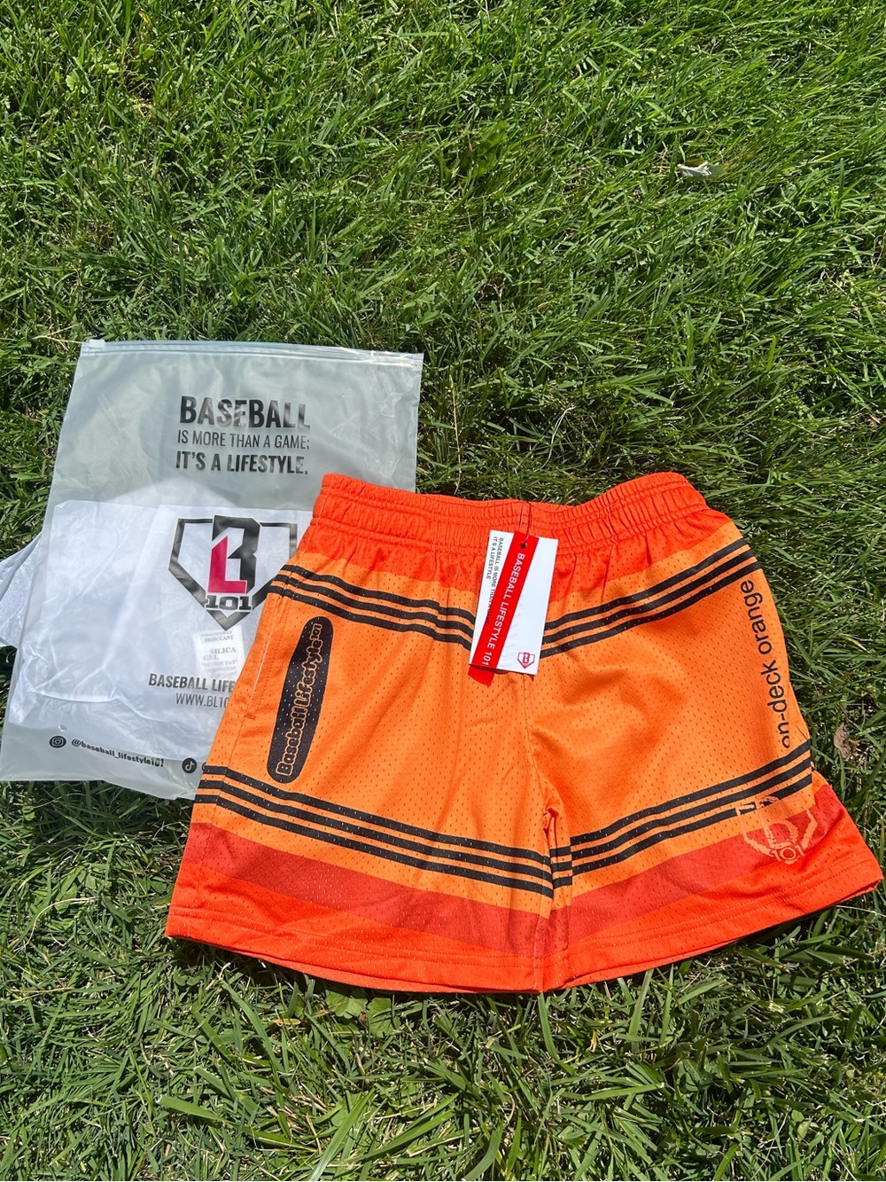 Crayon shorts NWT